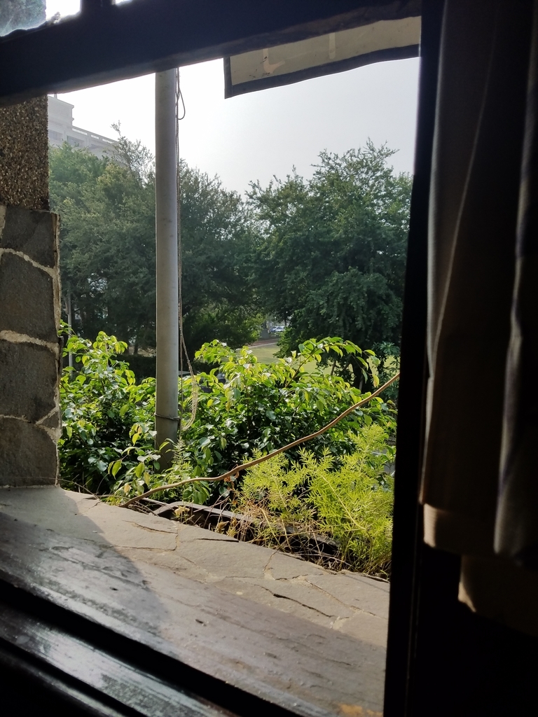 f:id:rapunte:20190118005923j:plain f:id:rapunte:20190118005923j:plain