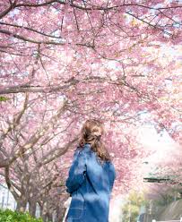 f:id:rapunte:20190311011150j:plain